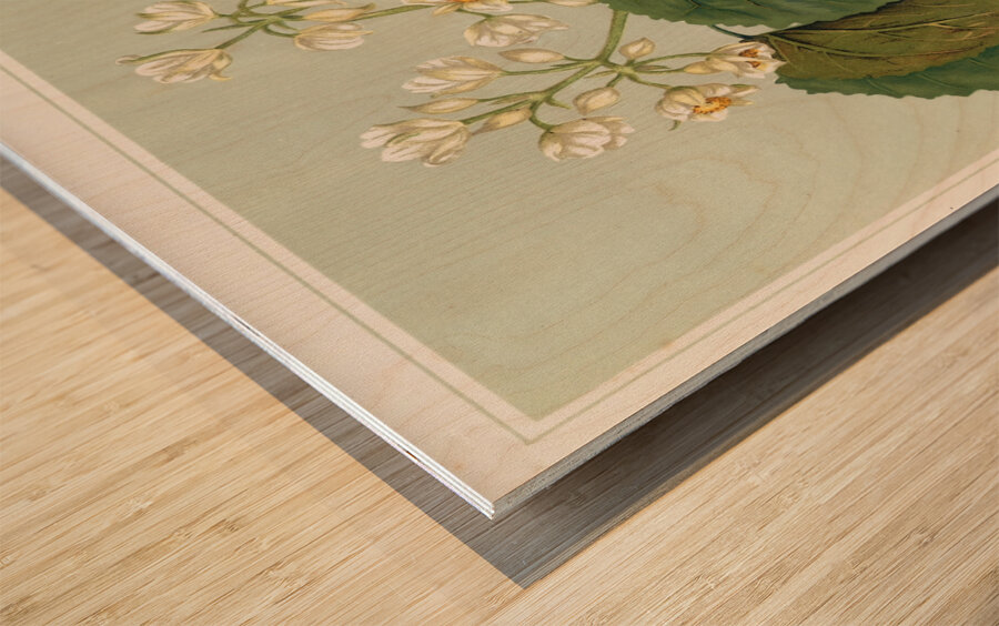 Sarah Featon 035 Wood print