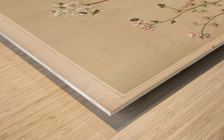 Sarah Featon 003 Wood print