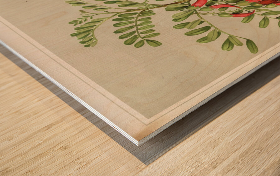 Sarah Featon 022 Wood print