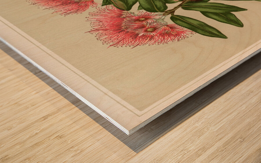 Sarah Featon 028 Wood print