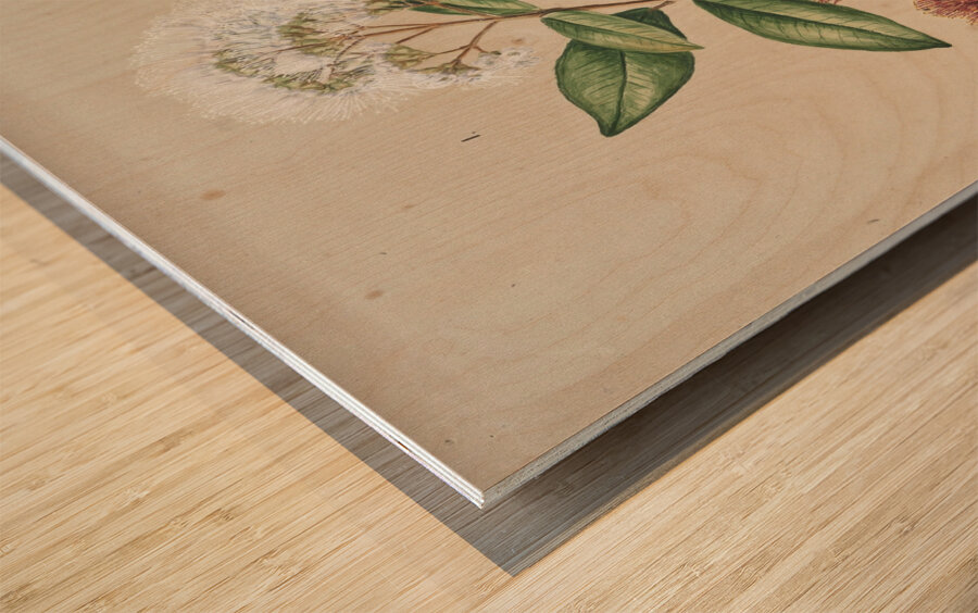 Sarah Featon 015 Wood print