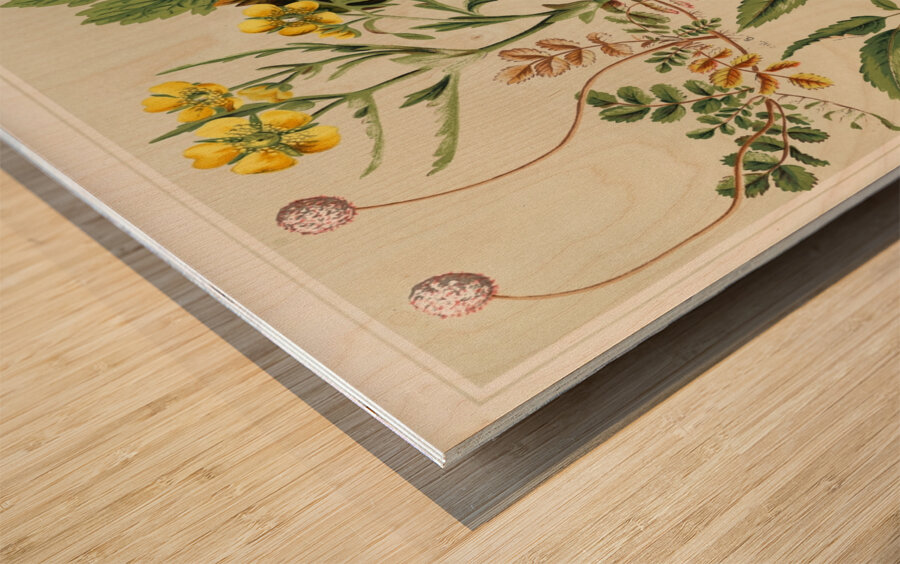 Sarah Featon 007 Impression sur bois