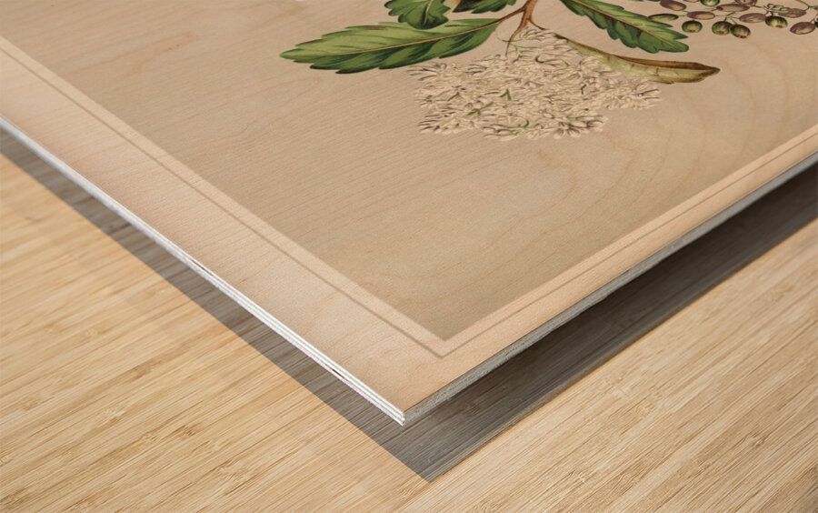 Sarah Featon 019 Wood print