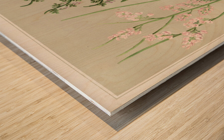 Sarah Featon 002 Wood print