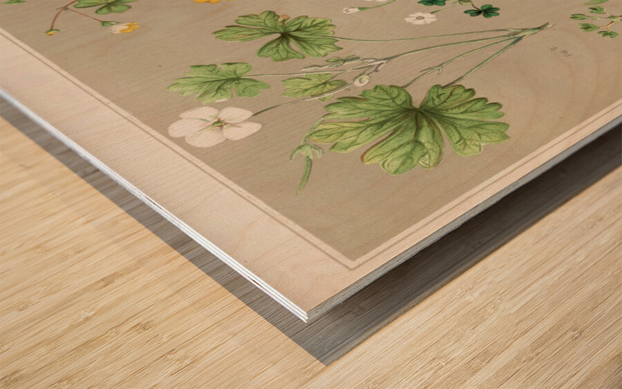 Sarah Featon 004 Wood print