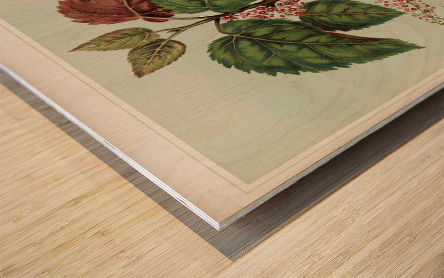 Sarah Featon 025 Wood print