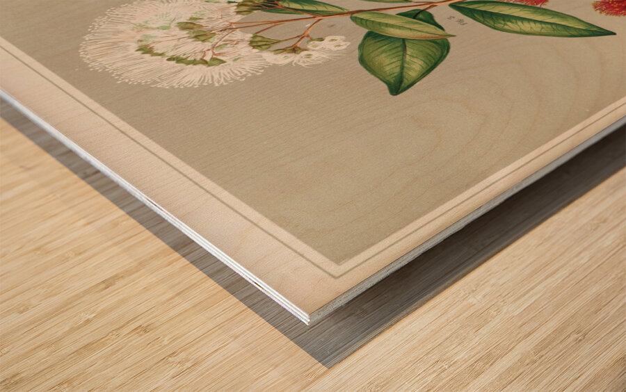 Sarah Featon 005 Wood print