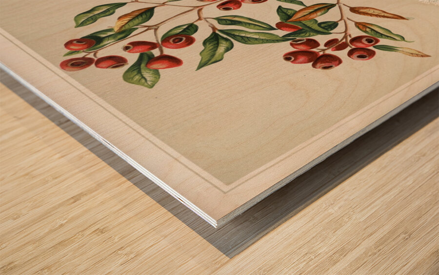 Sarah Featon 024 Wood print