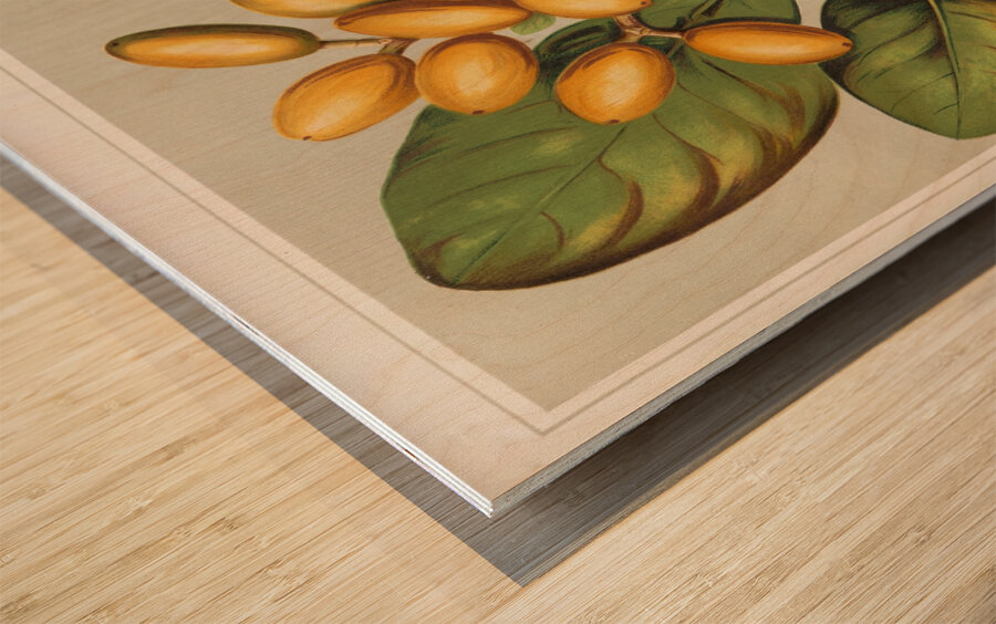 Sarah Featon 020 Wood print