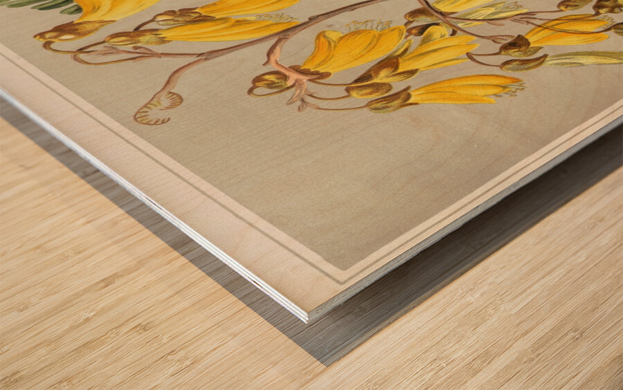 Sarah Featon 036 Wood print