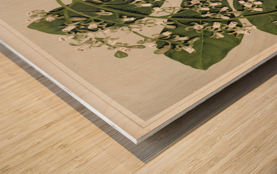 Sarah Featon 021 Wood print