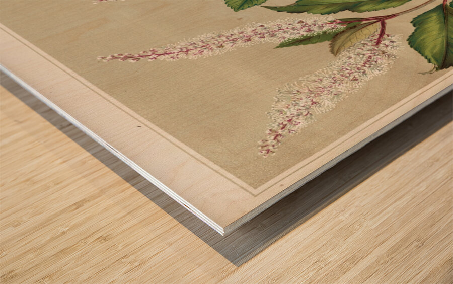 Sarah Featon 008 Wood print