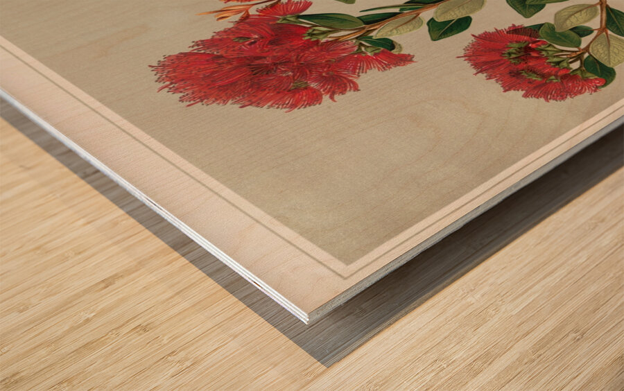 Sarah Featon 001 Wood print