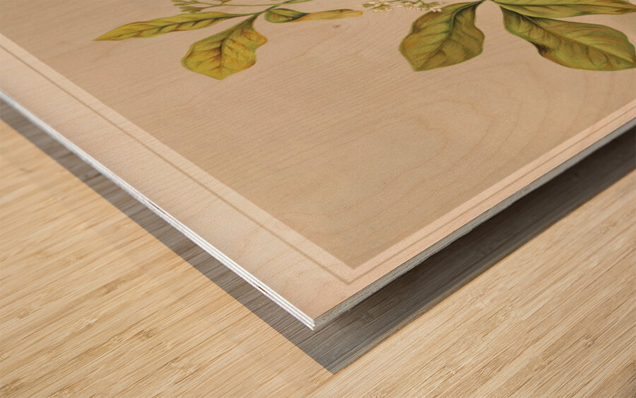 Sarah Featon 006 Wood print