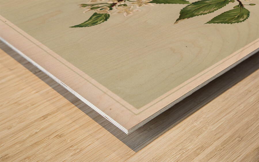 Sarah Featon 018 Wood print