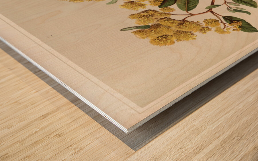 Sarah Featon 023 Wood print