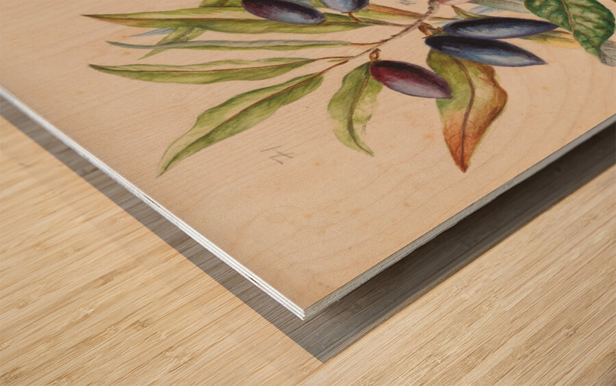 Sarah Featon 014 Wood print