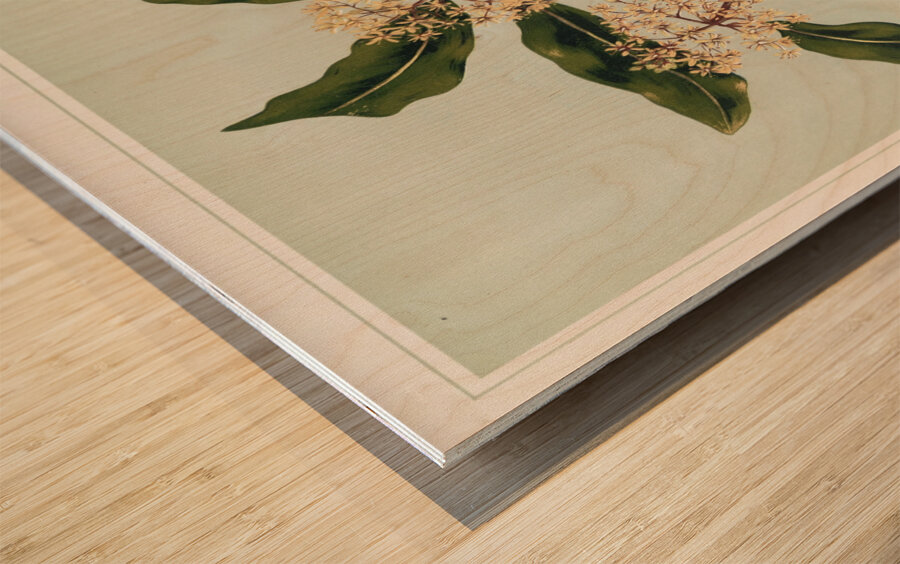 Sarah Featon 030 Wood print