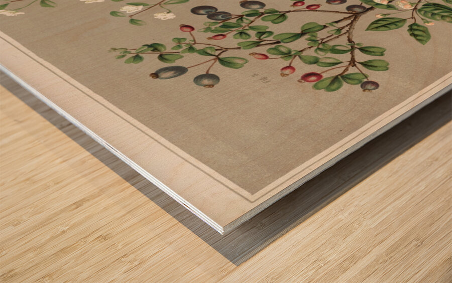 Sarah Featon 011 Wood print