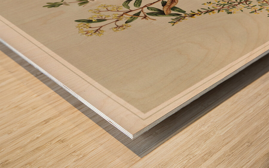 Sarah Featon 012 Wood print