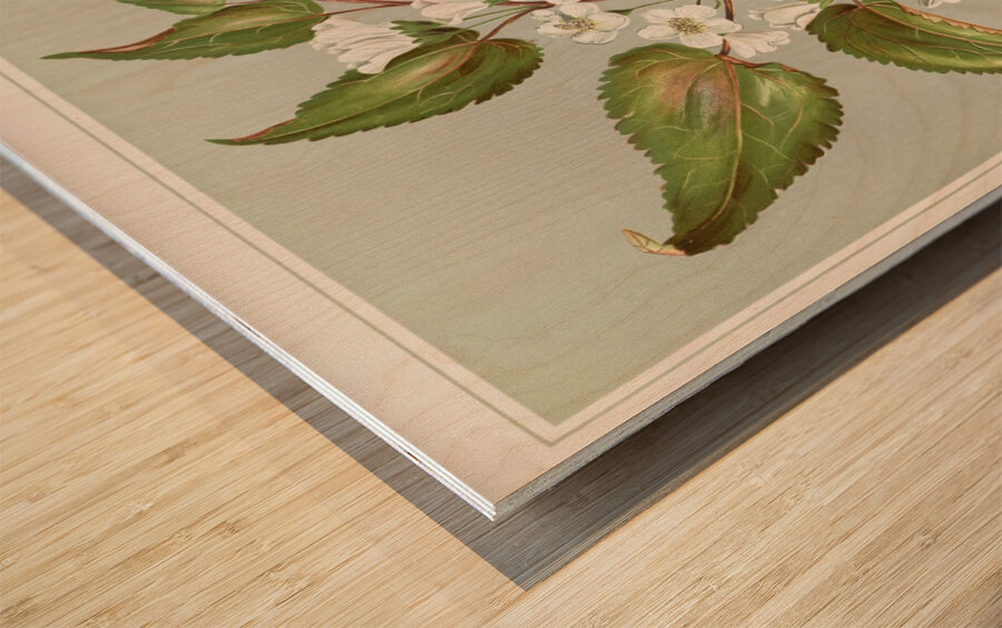 Sarah Featon 016 Wood print