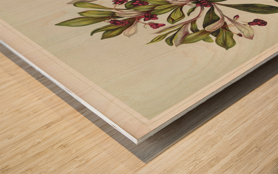 Sarah Featon 010 Wood print