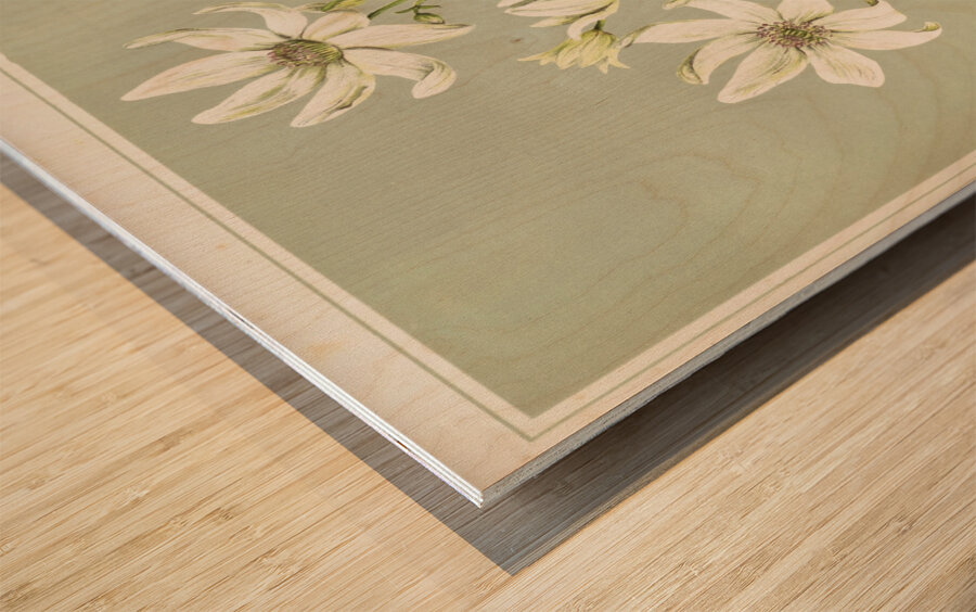 Sarah Featon 029 Wood print