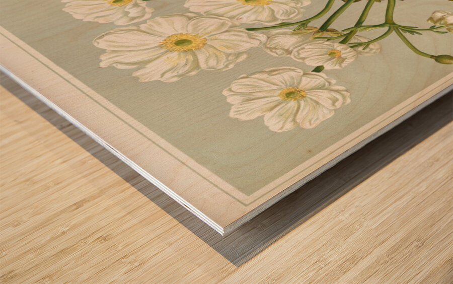 Sarah Featon 033 Wood print