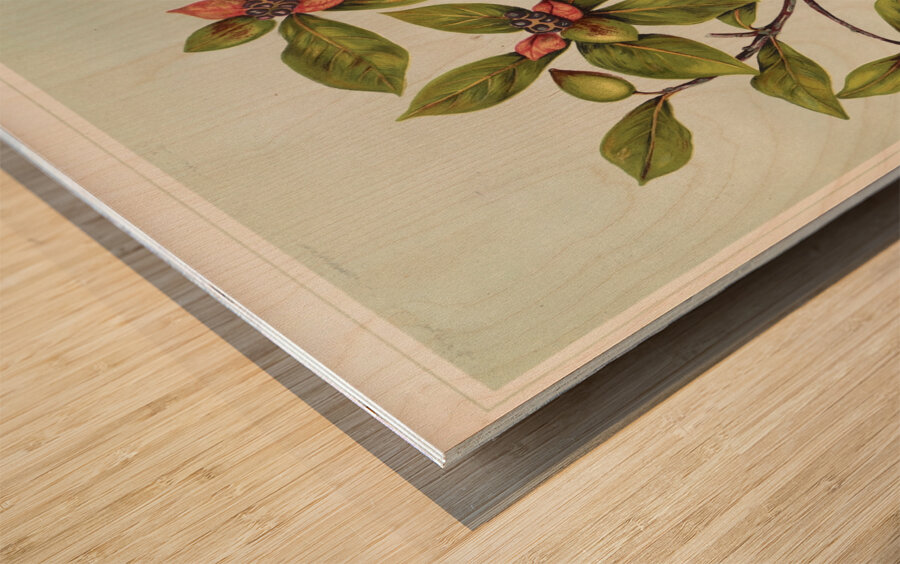 Sarah Featon 027 Wood print