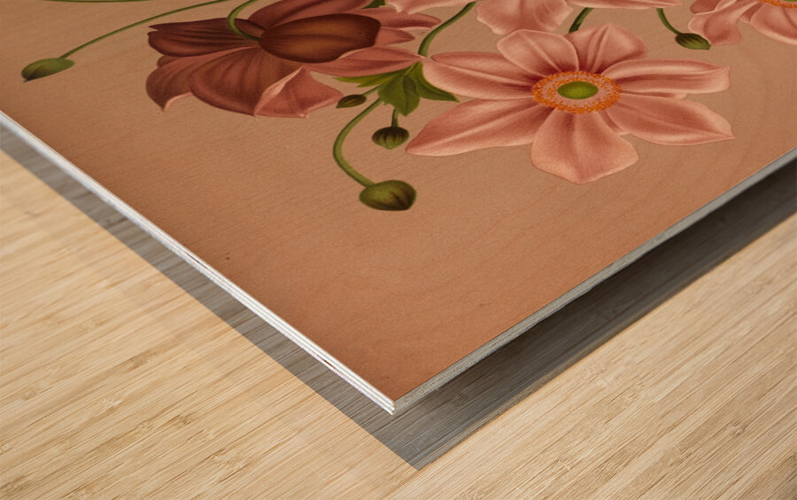 Album van Eeden : Haarlems flora : 1872-1881 Wood print