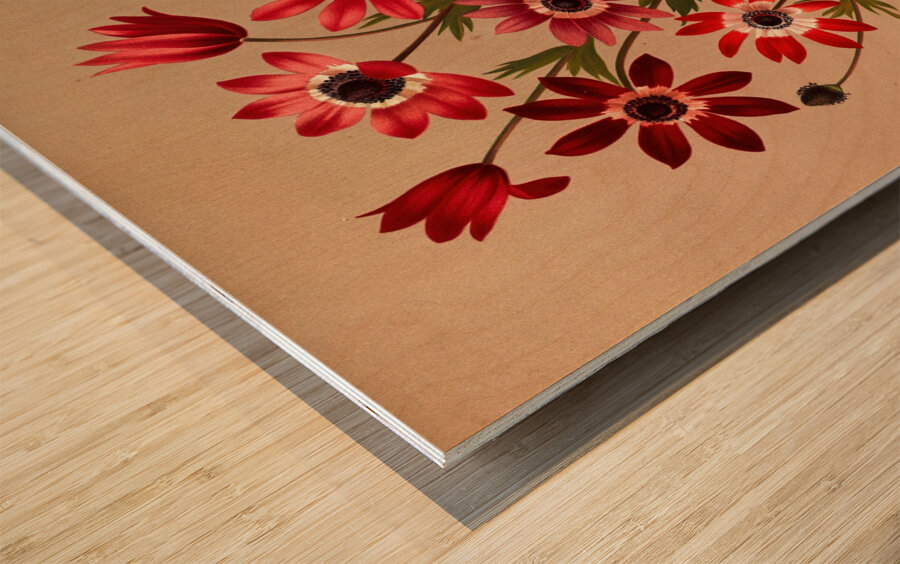 Album van Eeden : Haarlems flora : 1872-1881 Wood print