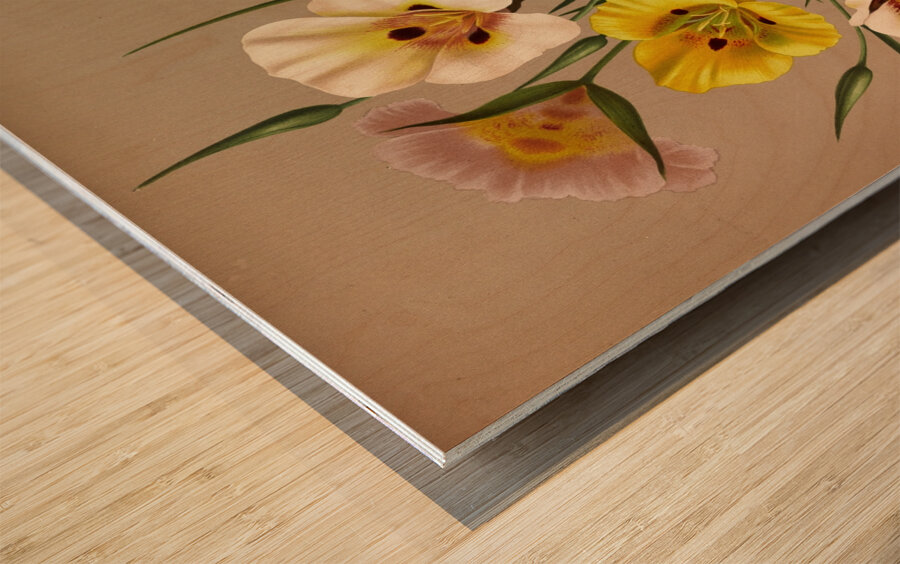 Album van Eeden : Haarlems flora : 1872-1881 Wood print