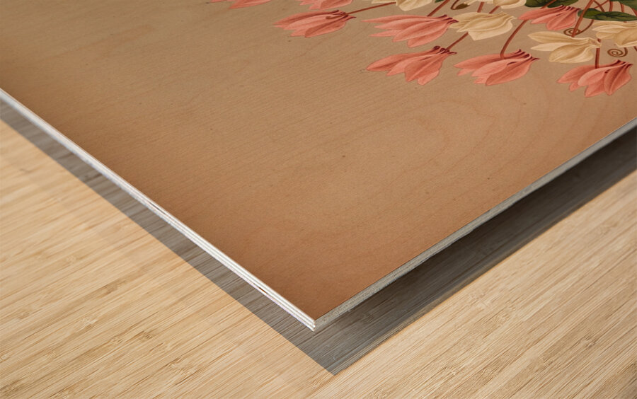 Album van Eeden : Haarlems flora : 1872-1881 Wood print