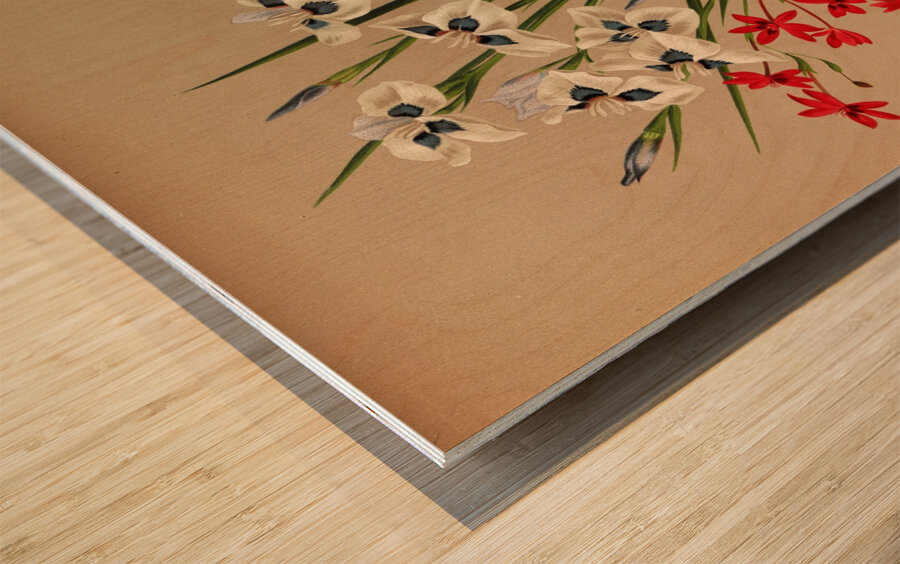 Album van Eeden : Haarlems flora : 1872-1881 Wood print