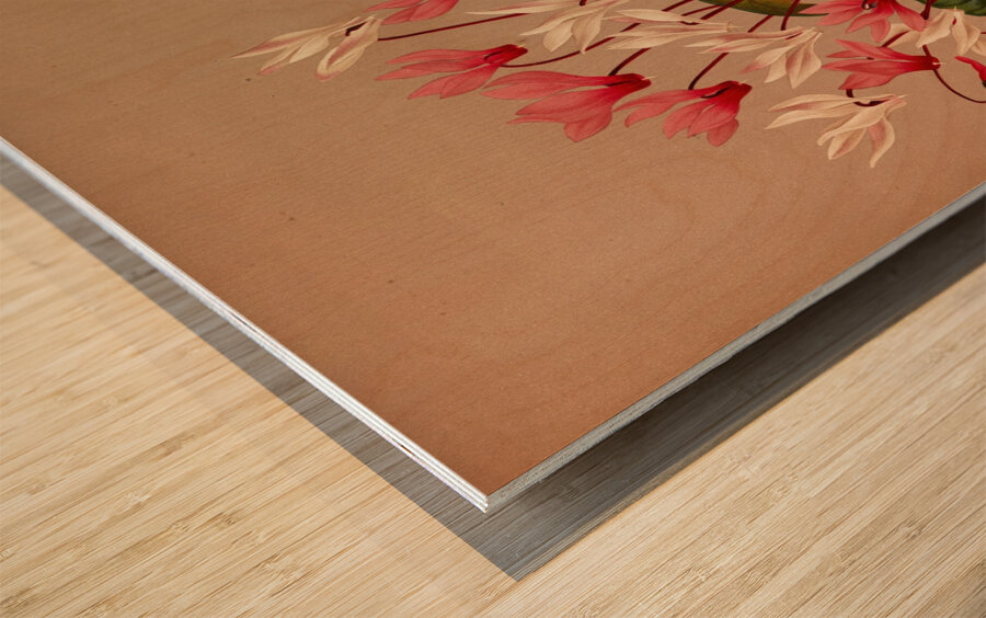 Album van Eeden : Haarlems flora : 1872-1881 Wood print