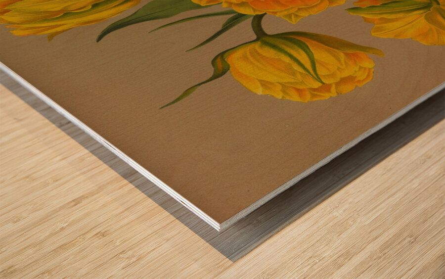 Album van Eeden : Haarlems flora : 1872-1881 Wood print