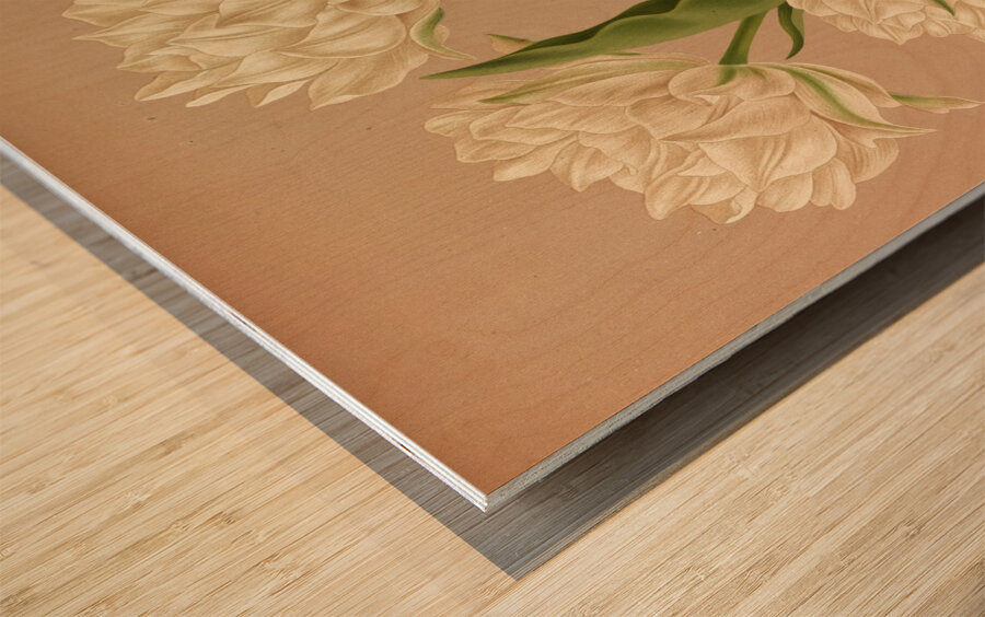 Album van Eeden : Haarlems flora : 1872-1881 Wood print