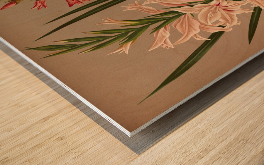 Album van Eeden : Haarlems flora : 1872-1881 Wood print