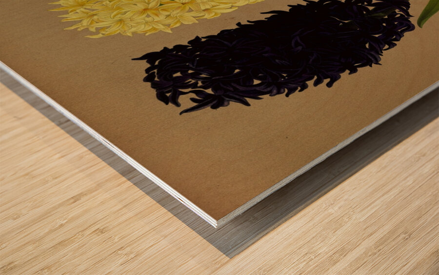 Album van Eeden : Haarlems flora : 1872-1881 Wood print