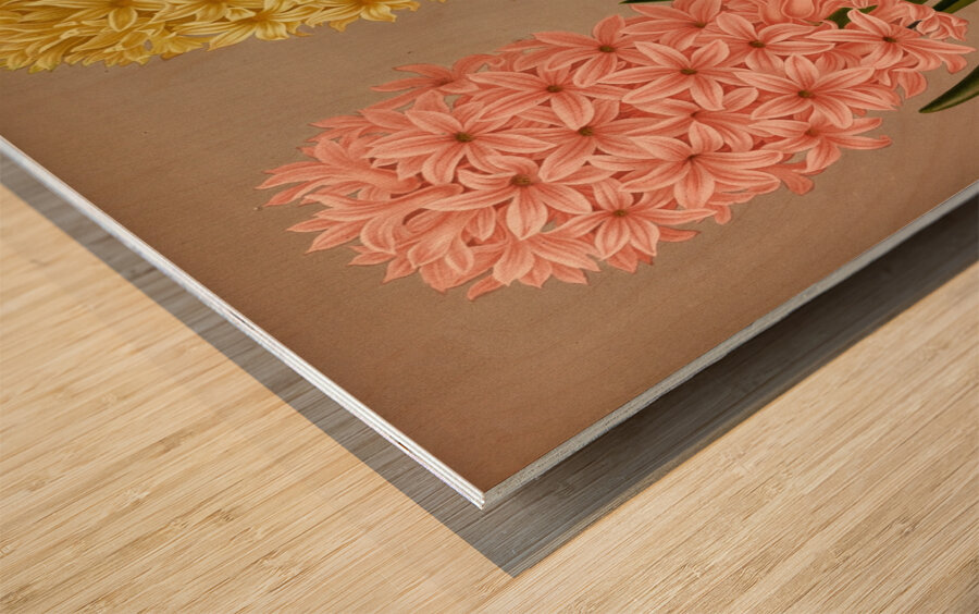 Album van Eeden : Haarlems flora : 1872-1881 Wood print