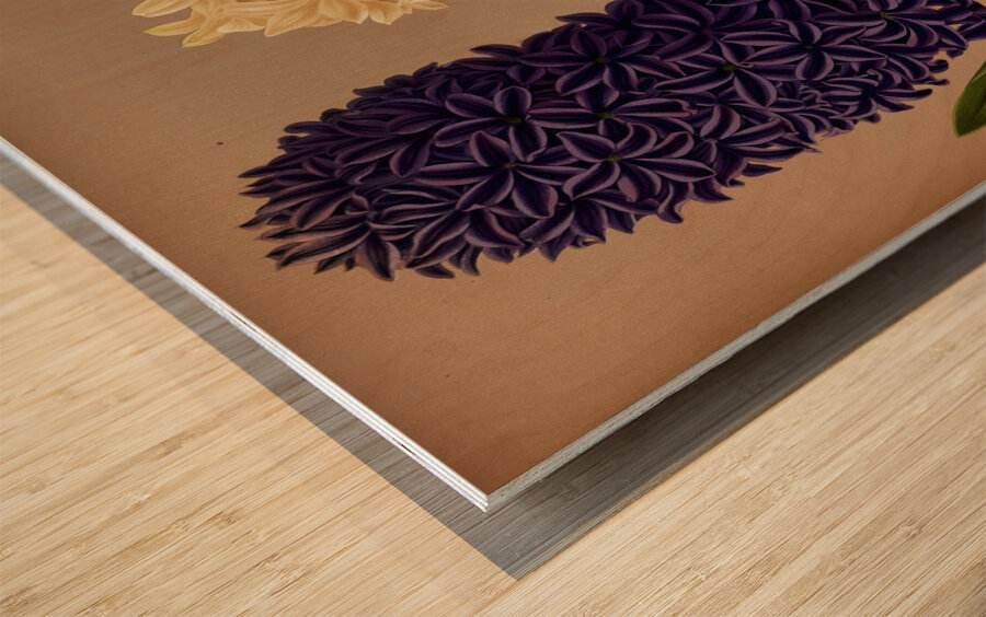 Album van Eeden : Haarlems flora : 1872-1881 Wood print