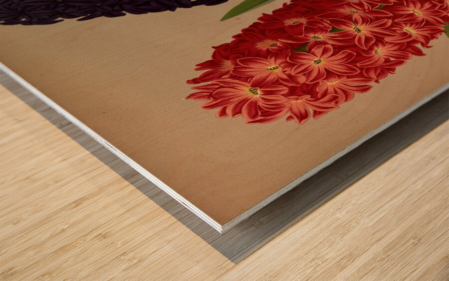 Album van Eeden : Haarlems flora : 1872-1881 Wood print