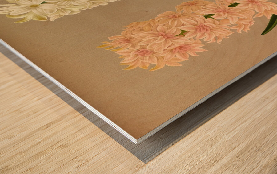 Album van Eeden : Haarlems flora : 1872-1881 Wood print