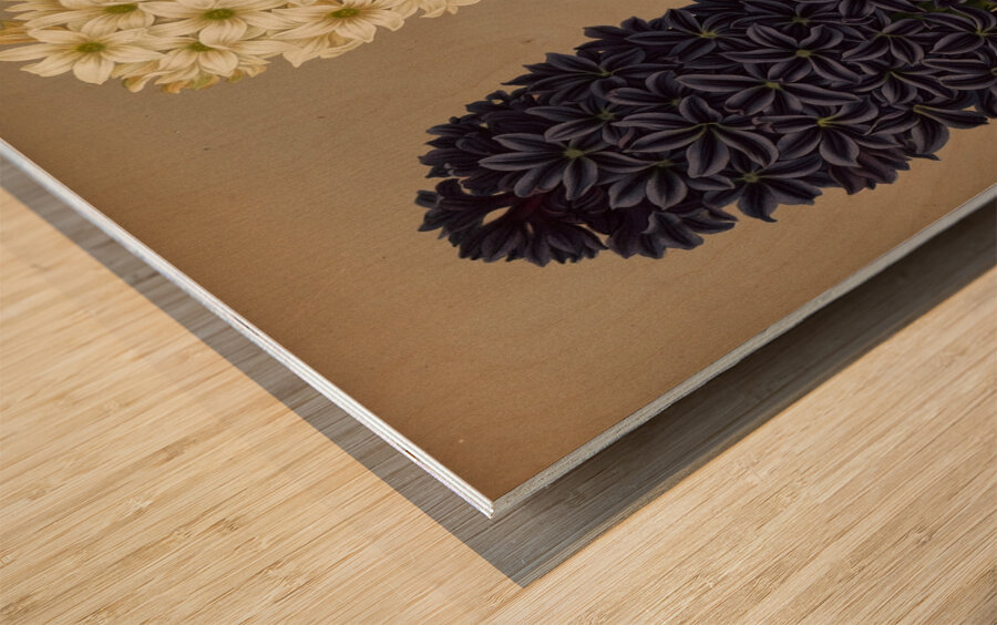 Album van Eeden : Haarlems flora : 1872-1881 Wood print