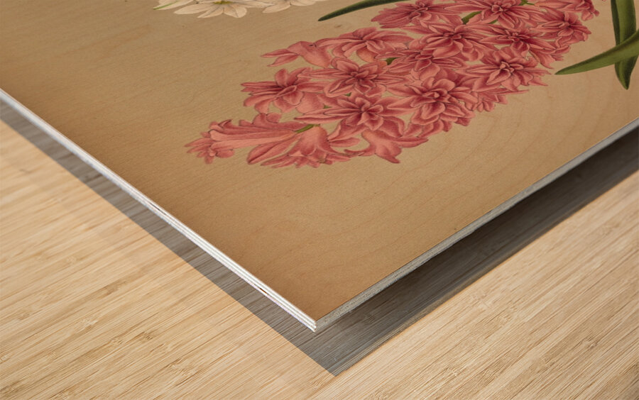 Album van Eeden : Haarlems flora : 1872-1881 Wood print