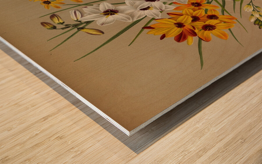 Album van Eeden : Haarlems flora : 1872-1881 Wood print