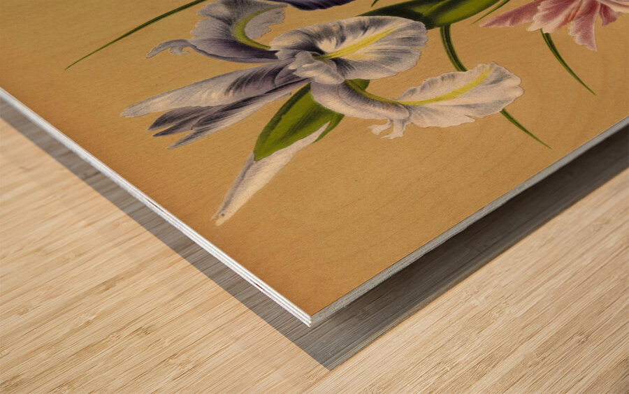 Album van Eeden : Haarlems flora : 1872-1881 Wood print