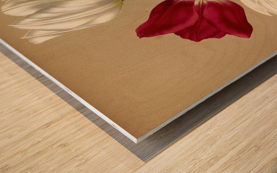 Album van Eeden : Haarlems flora : 1872-1881 Wood print