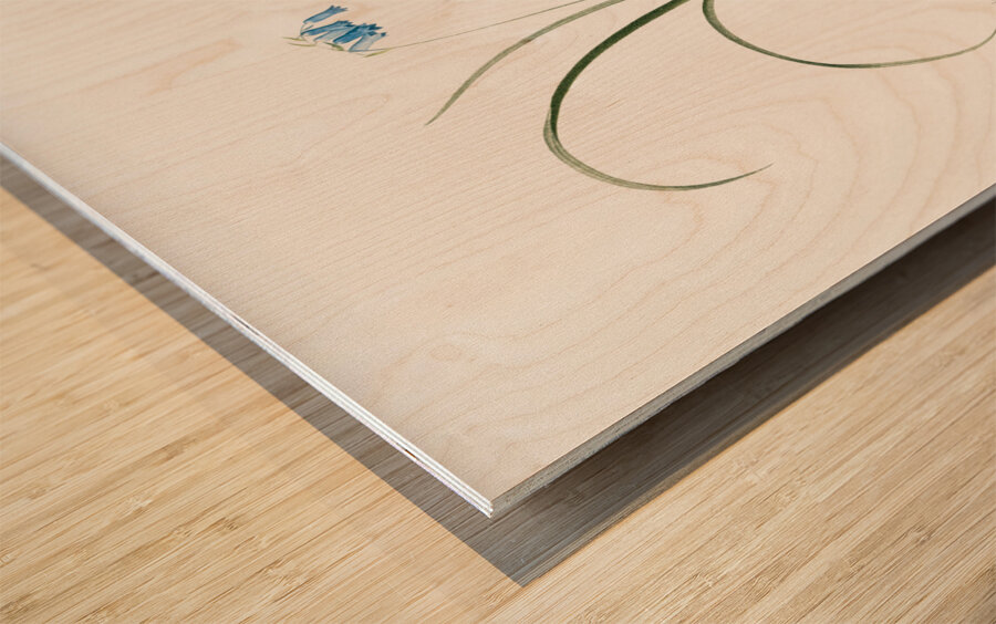 Brimeura illustration  Wood print