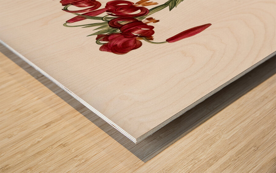 Lily illustration  Wood print